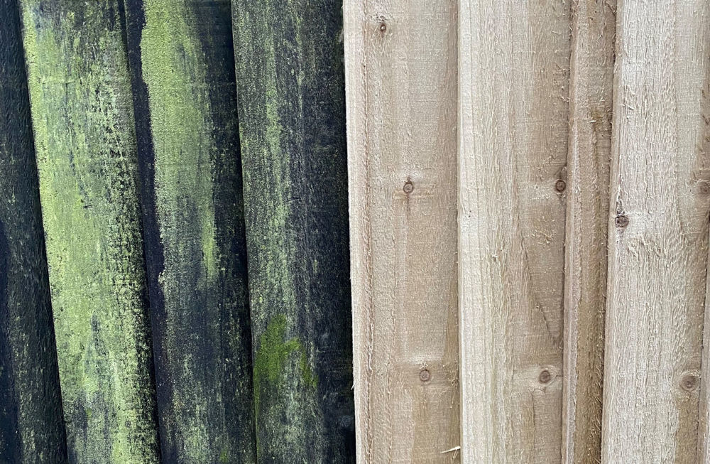 Treated wood vs untreated wood